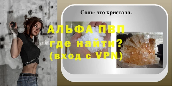 spice Белокуриха