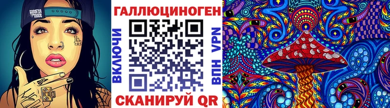 цены   Вязники  Псилоцибиновые грибы Cubensis 