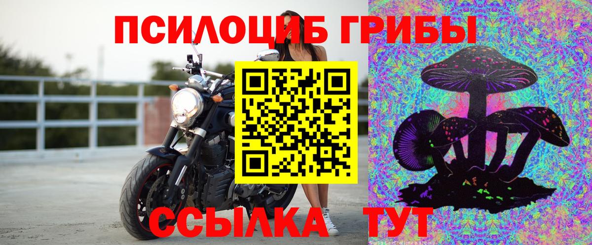 Галлюциногенные грибы мухоморы Вязники