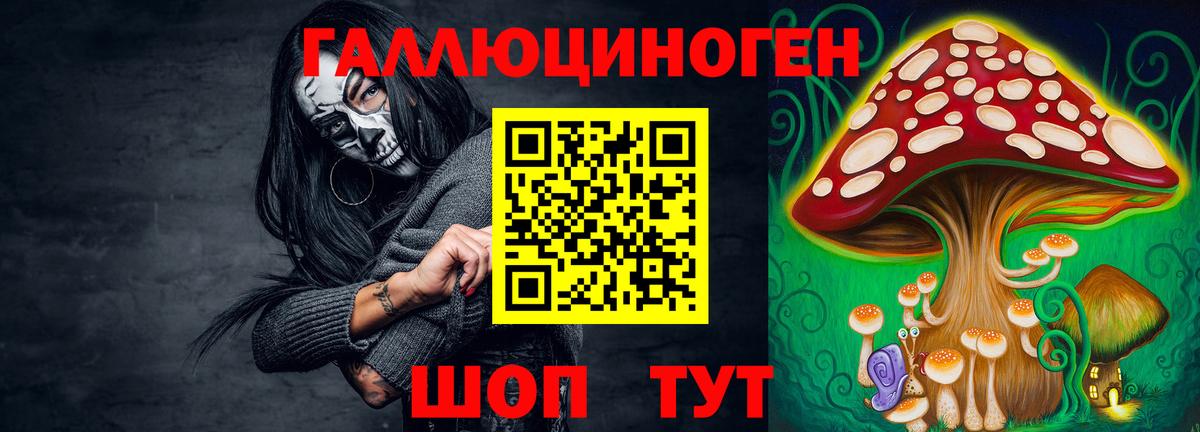 Вязники  Псилоцибиновые грибы мицелий  Псилоцибиновые грибы ЛСД  Вход с VPN 